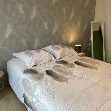 Appartement Du Grand Parc Châteauroux Zewnętrze zdjęcie