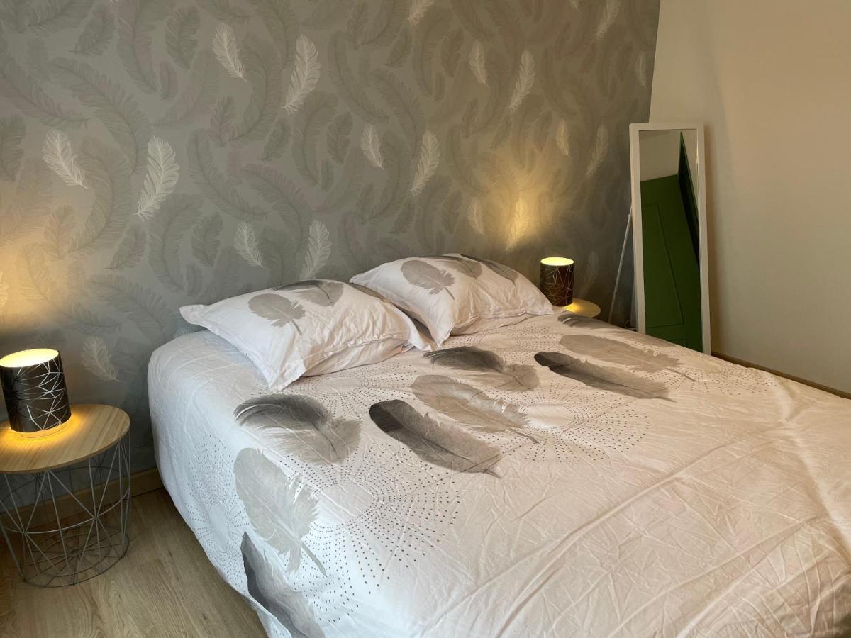 Appartement Du Grand Parc Châteauroux Zewnętrze zdjęcie